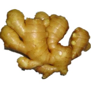 2019 good quality the price of fresh ginger