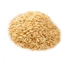 2020  Fresh Organic Bulk Wheat Seed Wheat Grain For Sale