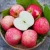 Import 2020 new fresh fruits delicious red fuji apples from China
