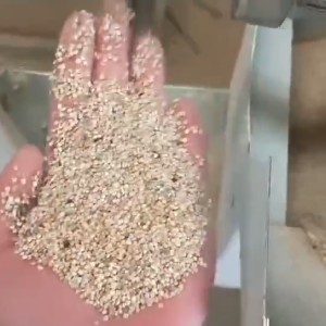 2020  newest M96 quinoa color sorter/Longbow quinoa separating machines