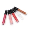 2020 Professional lip gloss manufacturer matte long lasting lipgloss vegan lipstick liquid