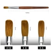 2021 Kolinsky Acrylic Black Petal Nail Brush Wooden Crimped Round Top Quality Nail Brush