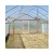 Import 2021 Large Operation And Practicality Can Be Customized Poly034 Green House from China