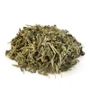 30103 Tou gu cao Organic Herb of Tuberculate Speranskia Dried Phryma leptostachya