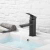 304 Sink Tap Stainless Steel Faucets Single Handle Basin Faucet Black Paint Faucet