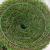 Import 40mm garden grass artificial grass landscape best quality artificial grass from China