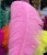 Import 55-60cm Ostrich Feather Wedding Decoration from China