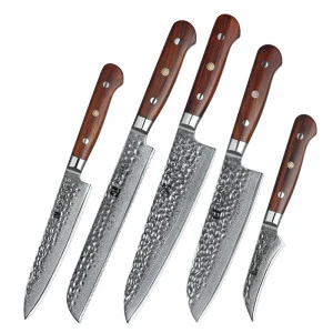 5PC professional Japanese damascus steel kitchen knife set