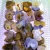Import About 2 Inches Small Size  Natural Crystal Gemstone Agate Stone Healing Elephant Carving from China