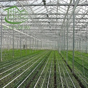 Agriculture/Commerical Multi Span Polycarbonate Sheet/PC Sheet Greenhouse Steel Frame for Vegetables/Garden/Tomato
