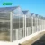 Import Agrotime Plastic film Greenhouse And Selling Used Polycarbonate Greenhouse from China