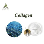 Aikafu Supply high Quality 100% Hydrolyzed Fish Collagen
