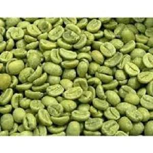 Arabic Green Coffee Bean For Sale