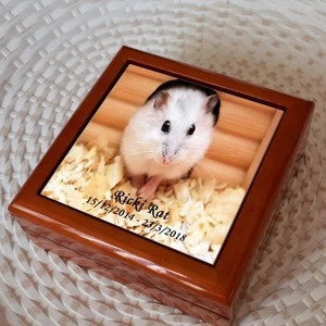 Ashes Wooden Photo Box Pet Urn