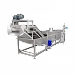 Automatic Fruit&Vegetable Cleaning processing Machine from manufacturer for aloe pineapple pears for sale