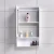 Import Bathroom Vanity Modern Wall Mounted Grey Cabinet Bathroom from China