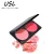 Import Beautiful fashionable long lasting 2 in 1 set have two colors blusher and make up concealer from China
