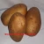 Import Best Fresh Diamond Potato from Bangladesh