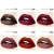Import Best  high-end waterproof matte vendor  lip gloss labels from China