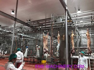 Best price cattle slaughterhouse equipment Abattoir Bleeding Automatic Convey butchery equipment for cow abattoir machine