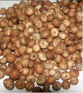 Best Quality Betel Nuts Thailand / BETEL NUT - ARECA NUTS / Quality whole and Split Betel Nut