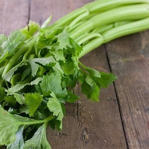 BEST QUALITY INDIAN CELERY SEEDS