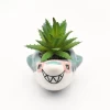 Best selling quality succulent planter pot with succulent plant