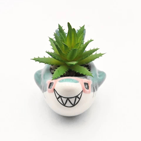 Best selling quality succulent planter pot with succulent plant