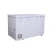 Import besun freezer with copper tube from China