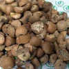 Betel Nut Split Dried (80-85%)