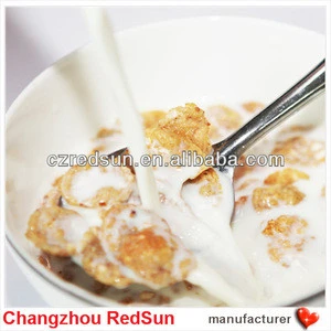 Breakfast cereal ingredient non dairy cream powder for instant food