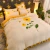 Import Cashmere flannel 4-piece bedding set coral velvet sheet quilt cover from China