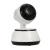 Import CCTV Camera Wireless WiFi 720P HD Camera Dog Housing PTZ Home Security Smart Camera from China
