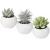 Import Cheap sell Artificial Ornamental outdoor Succulent Potted plastic plants in Mini White Ceramic Pots For Home Decor from China
