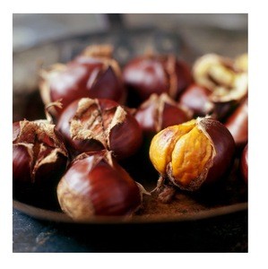 Chestnuts Bulk Quantity High quality cheap rate Wholesale Dealer