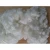 Import China factory recycled high tenacity polyester staple fiber from China