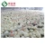 Import China Factory Supply Animal Automatic Feeders for Poultry Chickens from China