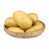 China&#x27;s fresh edible potatoes with high starch content are exported