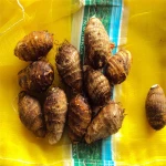 Chinese Fresh Taro