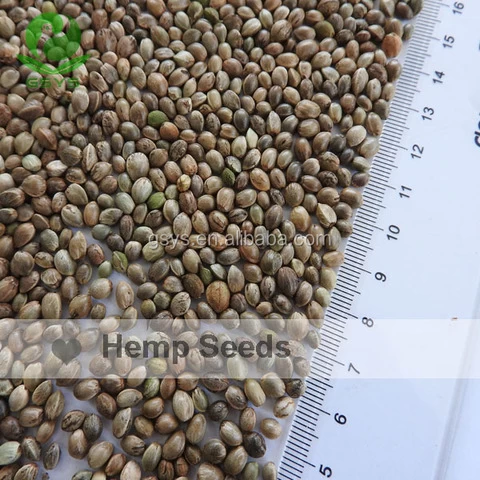 Chinese Hemp seeds High Quality Hemp seeds