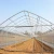 Import Commercial agricultural cheap plastic tunnel other greenhouse for sale from China