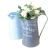 Import Custom Design Decorative Metal Watering Can For Table from China