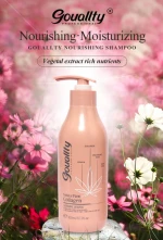 Custom Logo Organic Natural Sulfate Free Argan Oil Private Label Hair Care Set Shampoo and Conditioner