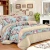 Import Custom Printed Luxury Quilt Bedding Set/100% Polyester Patchwork Quilting from China