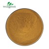 Customised Natural Raw Material Organic Concentrate Tea Polyphenols Yerba Mate Extract Powder