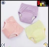 Customized Baby Girls Washable Training Pants Kids Potty Cloth Diaper Nappy Underwear