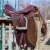 Import (Customized) Horse Ridding Training Custom Wooden Harnesses Stables  Stirrup Legging Women Men from China