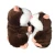 Import Cute Electronic Mimicry Pet Talking Hamster Repeats What You Say Plush Animal Toy For Kids Gift from China