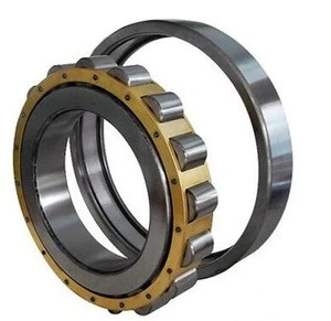 Cylindrical Roller Bearings NUP1032E