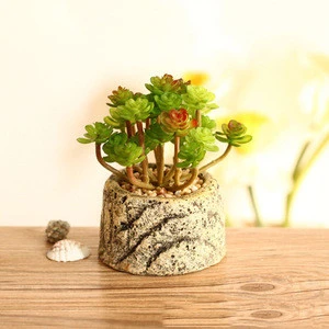 CYSHMILY Pine needles Milan grass succulents Mini simulation plants potted artificial flowers Cactus ornaments